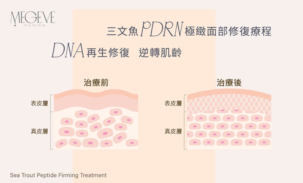 DNA再生修復 逆轉肌齡
